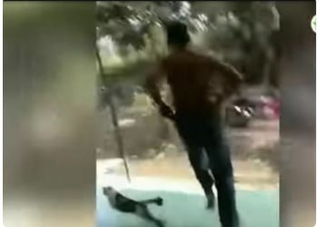 Bu Kades Selingkuh Akhirnya Lari Tanpa Busana