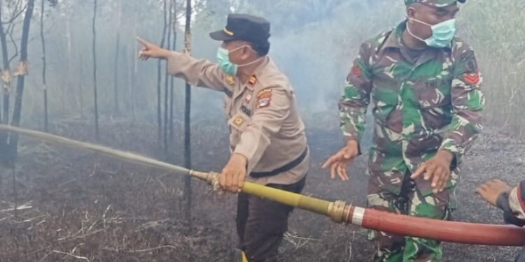 Bersama Personil Pos Terpadu, Kapolsek Bati-bati Polres Tanah Laut Lakukan Pemadaman Karhutla di Desa Nusa Indah