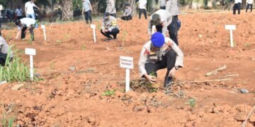 Polres Tanah Laut Gelar Penanaman Bibit Pohon Di Tanah Milik Polri