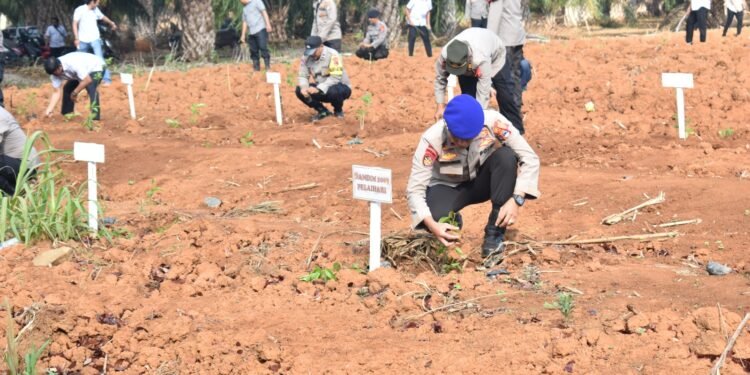 Polres Tanah Laut Gelar Penanaman Bibit Pohon Di Tanah Milik Polri