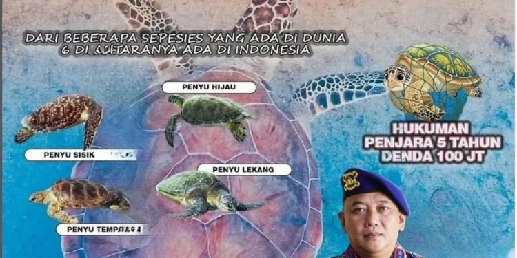 Dir Polairud Sulut : Ayo Kita Lindungi Dan Jaga Bersama Kekayaan Laut Kita