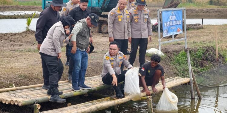 Polda Metro  Tebar 37 Ribu Benih Ikan di Muara Gembong, Dukung Ketahanan Pangan